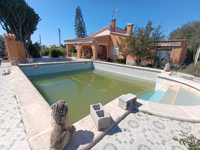 /international/es/elche-valencian-community-310100993583/?lang=zh-tw