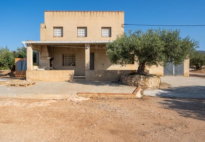 /international/es/camarles-catalonia-310108972891/