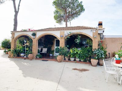 /international/es/bonares-andalusia-310106776979/