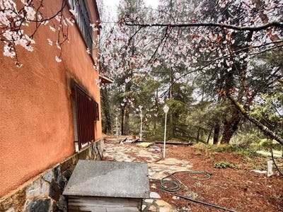 /international/es/alcoy-alcoi-valencian-community-310101354718/?lang=zh-tw