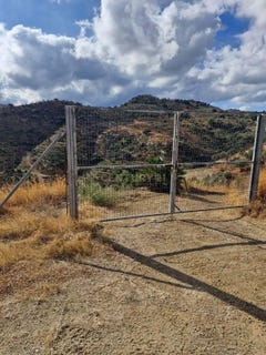 /international/es/coin-andalusia-310103022137/