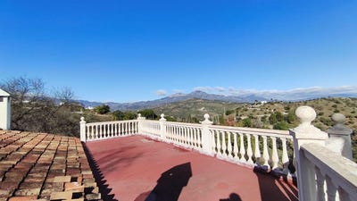 /international/es/guaro-andalusia-310104289670/