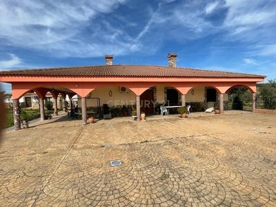 /international/es/torrejoncillo-extremadura-310094777928/