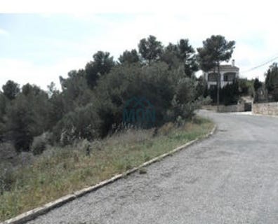 /international/es/torrent-valencian-community-310119531586/