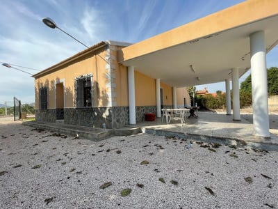 /international/es/redovan-valencian-community-310100741711/
