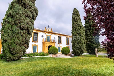 /international/es/moron-de-la-frontera-andalusia-310100642717/
