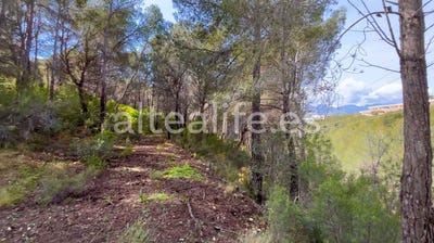 /international/es/calle-erica-altea-valencian-community-310107216027/