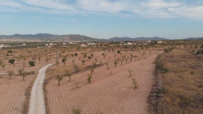 /international/es/yecla-region-of-murcia-310105739454/