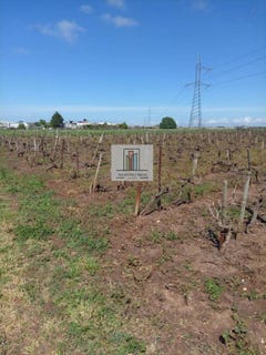 /international/es/marquesado-1-chiclana-de-la-frontera-andalusia-310108556123/