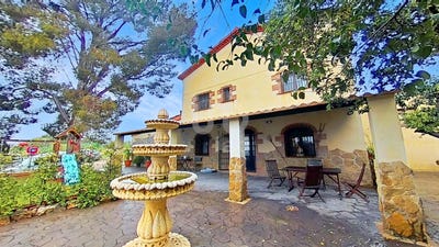 /international/es/picamoixons-catalonia-310100709873/