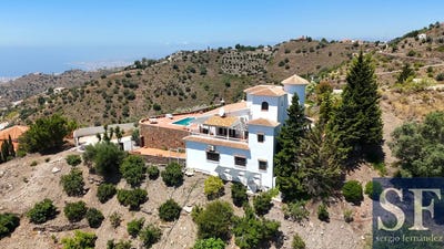 /international/es/sayalonga-andalusia-310109075063/