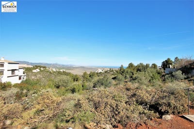/international/es/monte-pego-valencian-community-310096676445/