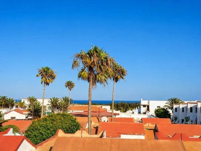 /international/es/pajara-canary-islands-310120047375/