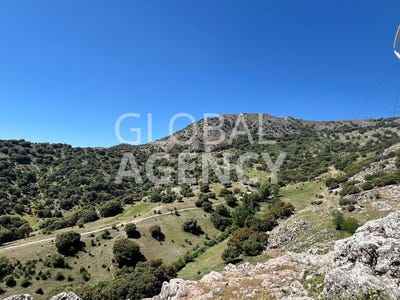 /international/es/jaen-jaen-andalusia-310100935308/?lang=zh-tw