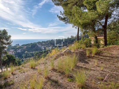 /international/es/blanes-catalonia-310104145450/