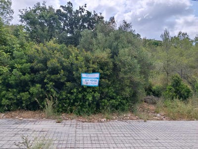 /international/es/olivella-catalonia-310108559718/