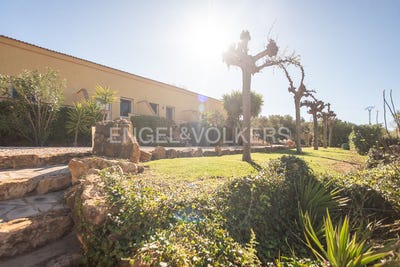 /international/es/vinaros-valencian-community-310100640304/