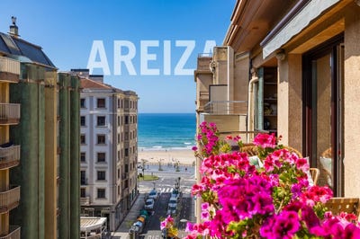 /international/es/gros-gipuzkoa-basque-country-310107904489/