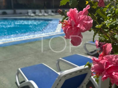 /international/es/arona-canary-islands-310101206773/?lang=it