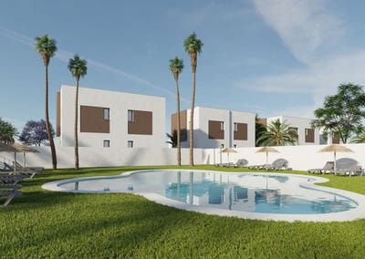 /international/es/elche-valencian-community-310108518936/