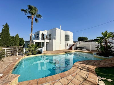 /international/es/elche-valencian-community-310099363875/