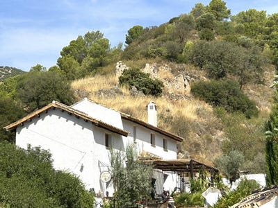 /international/es/cuesta-de-los-molinos-montefrio-andalusia-310102039852/
