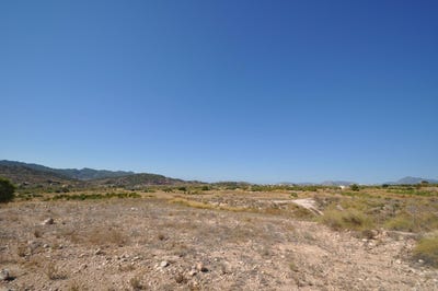 /international/es/macisvenda-region-of-murcia-310100415254/