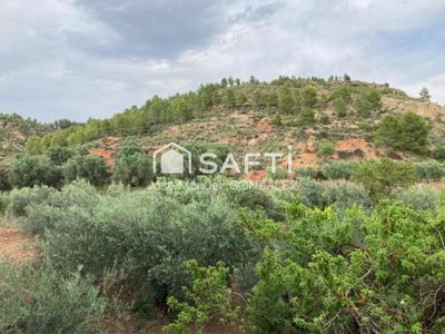 /international/es/cehegin-region-of-murcia-310101273086/