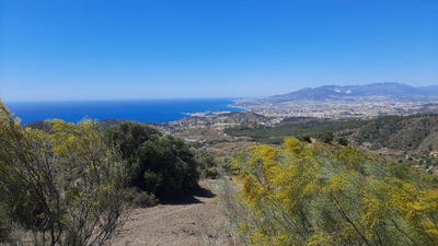 /international/es/malaga-andalusia-310105829373/