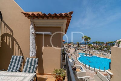 /international/es/palm-mar-canary-islands-310101046483/
