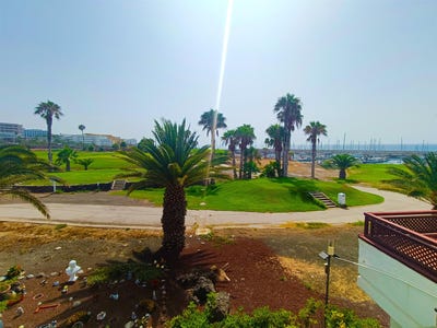 /international/es/golf-del-sur-canary-islands-310103617450/