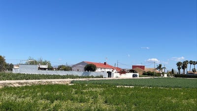 /international/es/dolores-a-dolores-valencian-community-310108921913/?lang=es