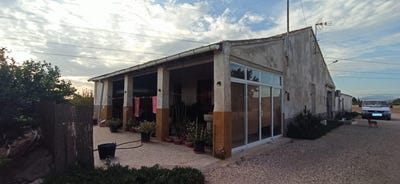 /international/es/elche-valencian-community-310101155690/?lang=zh-tw