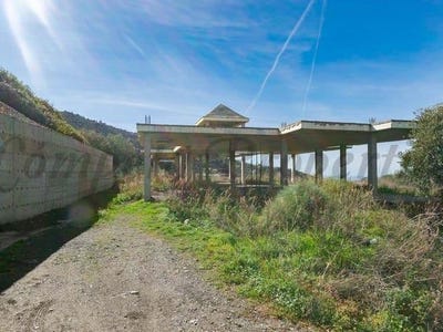 /international/es/sayalonga-andalusia-310100735565/