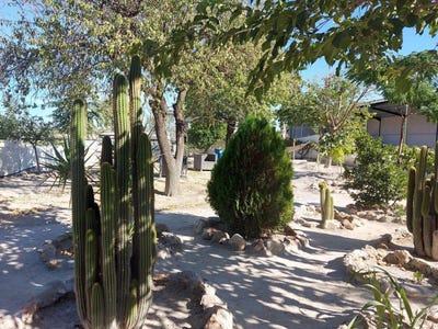 /international/es/baza-andalusia-310100738595/?lang=zh-tw
