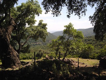 /international/es/colmenar-andalusia-120077446762/