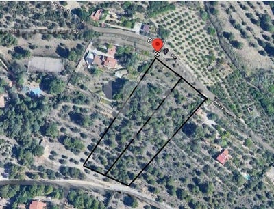 /international/es/tarragona-catalonia-310100954147/?lang=en