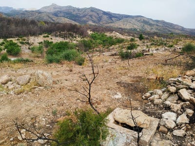 /international/es/disseminat-poligon-14-xerta-catalonia-310109541813/