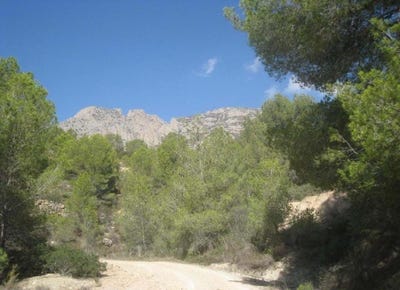 /international/es/finestrat-valencian-community-310101174148/?lang=zh-tw