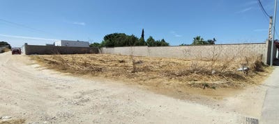 /international/es/calle-del-callejon-huerta-rosario-chiclana-de-la-frontera-andalusia-310108427757/