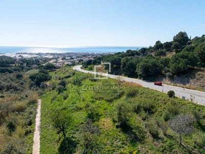 /international/es/premia-de-dalt-catalonia-310106708265/