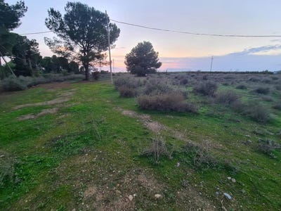 /international/es/lleida-catalonia-310108862140/
