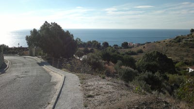 /international/es/la-capellania-andalusia-310100903303/