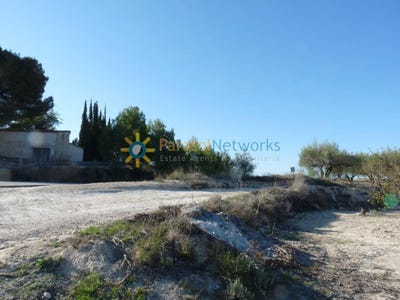 /international/es/belgida-valencian-community-310108180990/