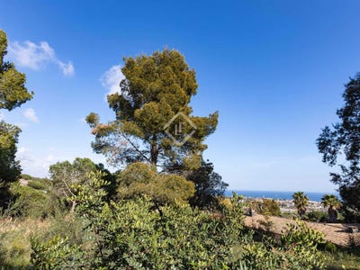 /international/es/cabrils-catalonia-120083357405/