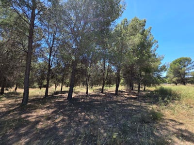 /international/es/ds-los-prados-del-pozuelo-calasparra-region-of-murcia-310108455443/