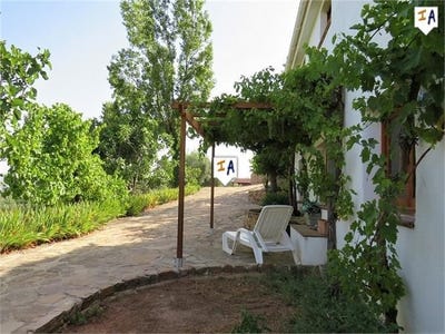 /international/es/huelma-andalusia-310098894286/?lang=zh-tw