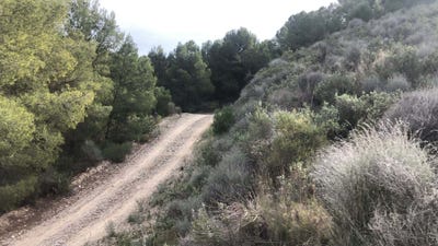 /international/es/lorca-region-of-murcia-310100667225/