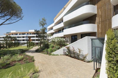 /international/es/cadiz-andalusia-310100959950/?lang=zh-tw