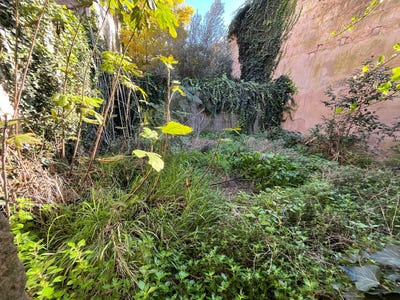 /international/es/4-carrer-mare-de-deu-del-carme-manacor-balearic-islands-310101733144/